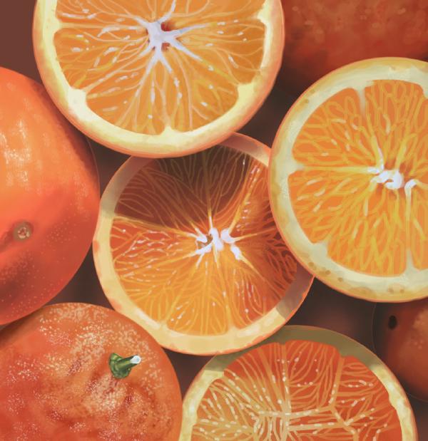 fresh oranges himloul